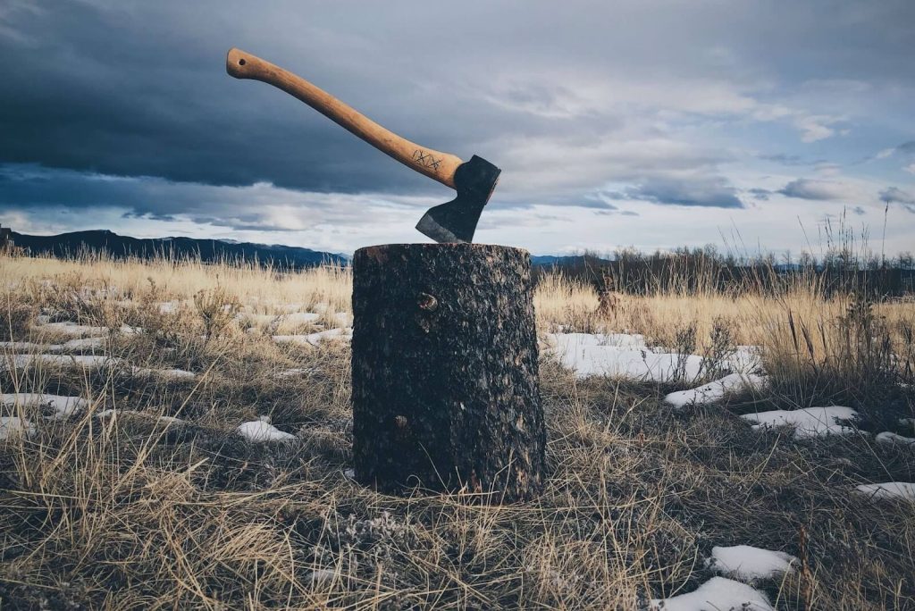axe throwing in nature