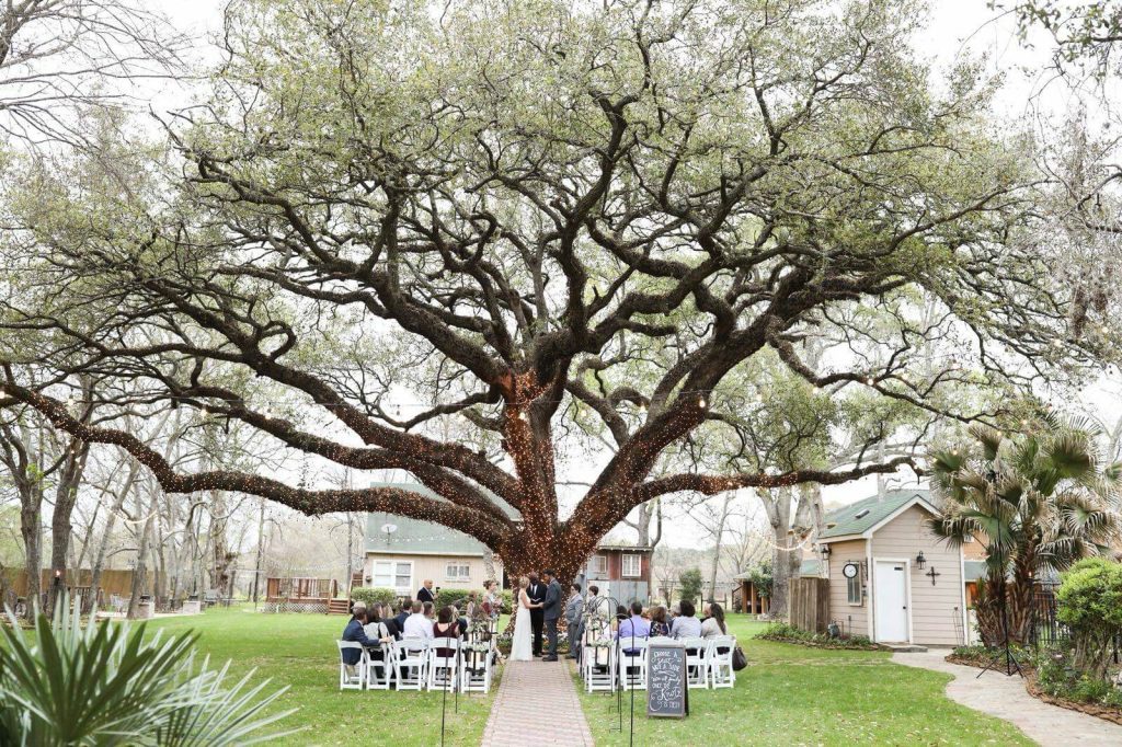 oak tree manor 35465 entire venue room