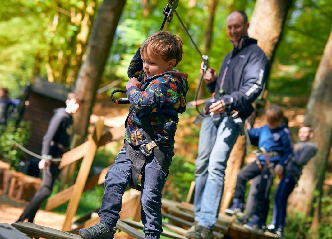 Treetop Adventure - Go Ape Grizedale - Event Venue Hire - Tagvenue.com